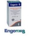 ENGERIXB